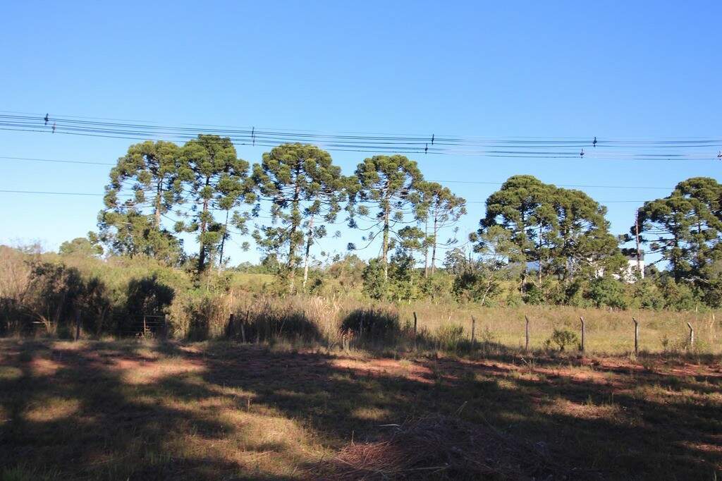 Área Industrial à venda, Campo Largo da Roseira - São José dos Pinhais/PR