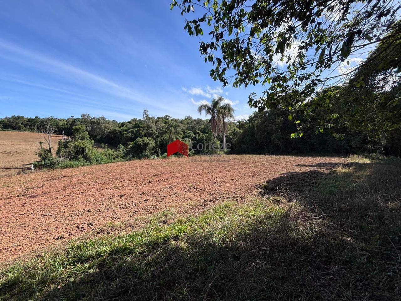 Chácara à venda, Contenda - São José dos Pinhais/PR