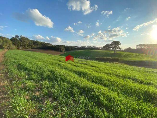 Chácara à venda, Colônia Murici - São José dos Pinhais/PR