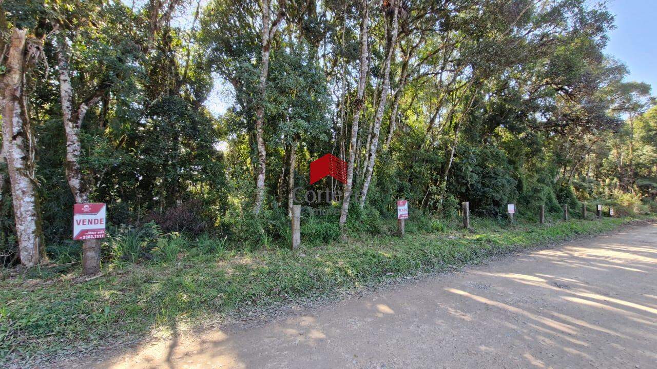 Área Rural à venda, Borda do Campo - São José dos Pinhais/PR