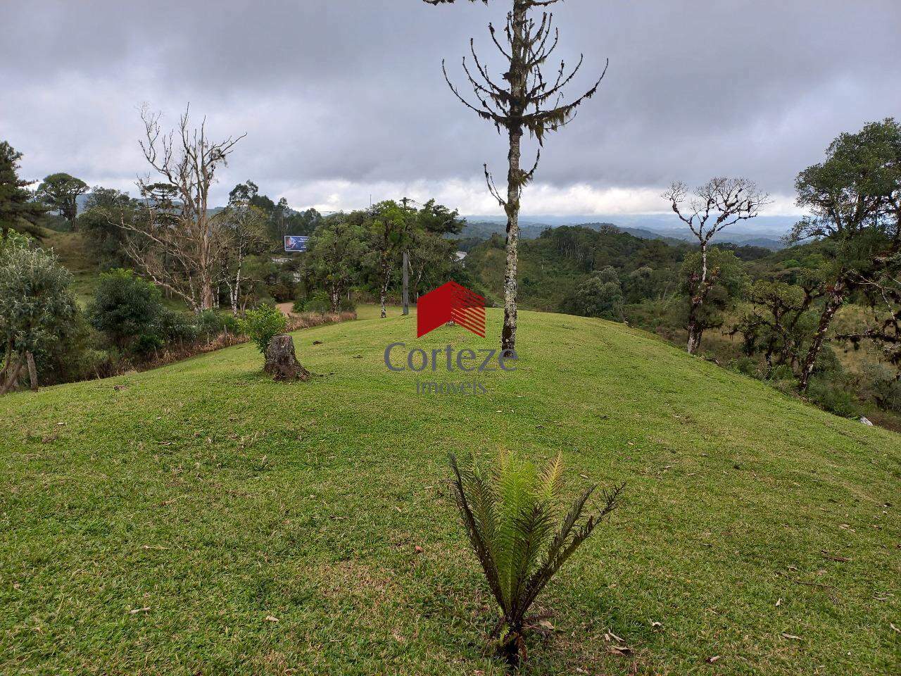Chácara à venda, Área Rural de São José dos Pinhais - São José dos Pinhais/PR